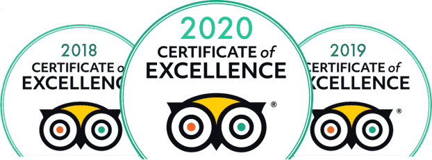 trip advisor certificate of excellence